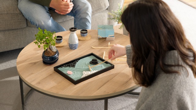 Amazon.com: Oasis of Calm Zen Garden Kit. 11x8 Inch Beautiful